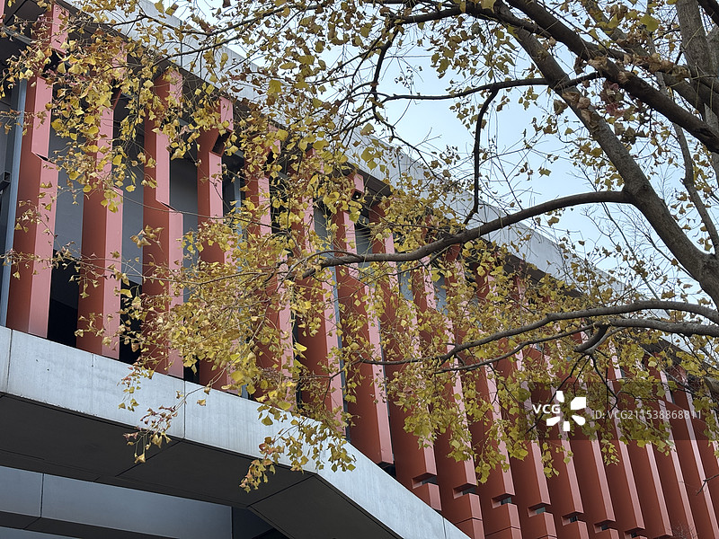 中国科学技术大学图片素材