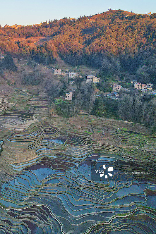 红河哈尼梯田/元阳梯田，爱春蓝梯田，灌水期图片素材
