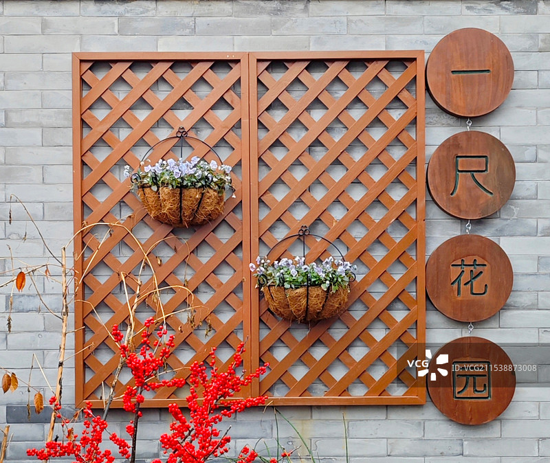 挂在墙上的盆栽植物特写镜头图片素材