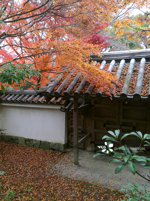 日本大阪姬路好古园图片素材