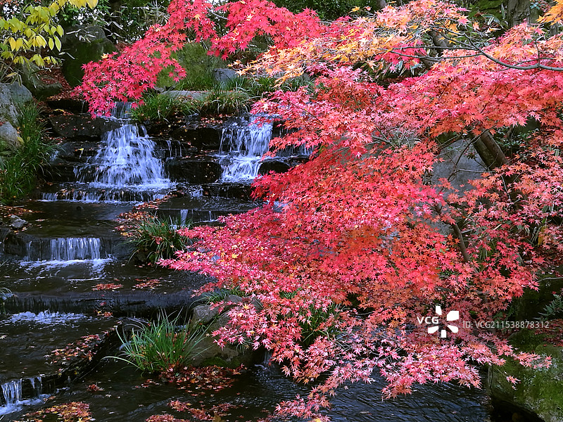 日本大阪姬路好古园图片素材