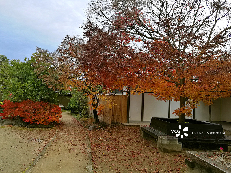 日本大阪姬路好古园图片素材