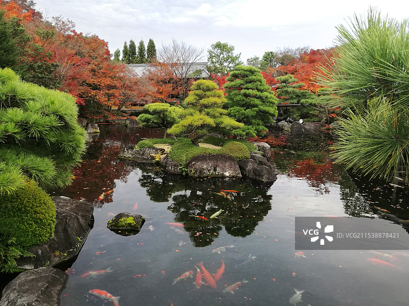 日本大阪姬路好古园图片素材