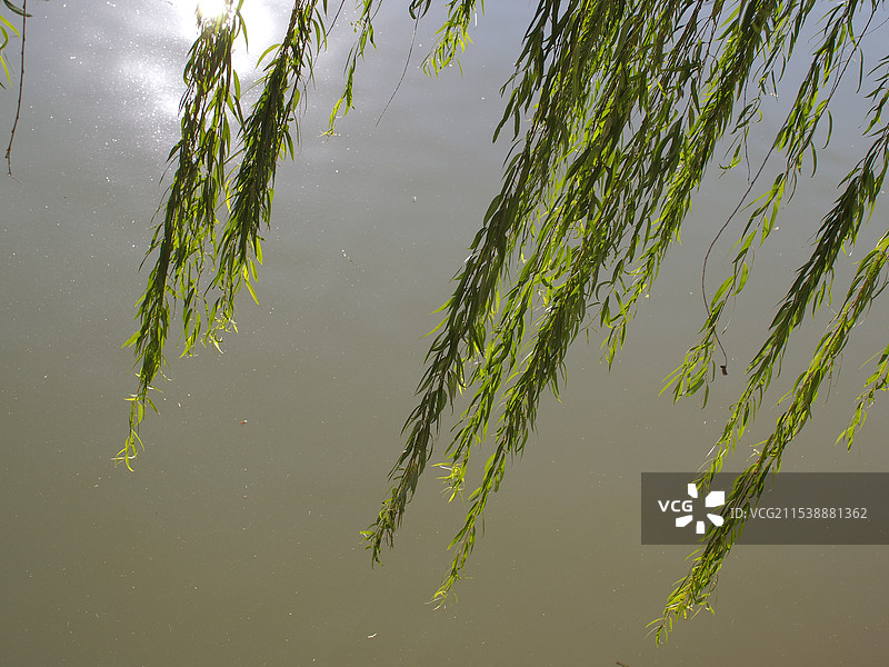 口岸雕花楼景区图片素材
