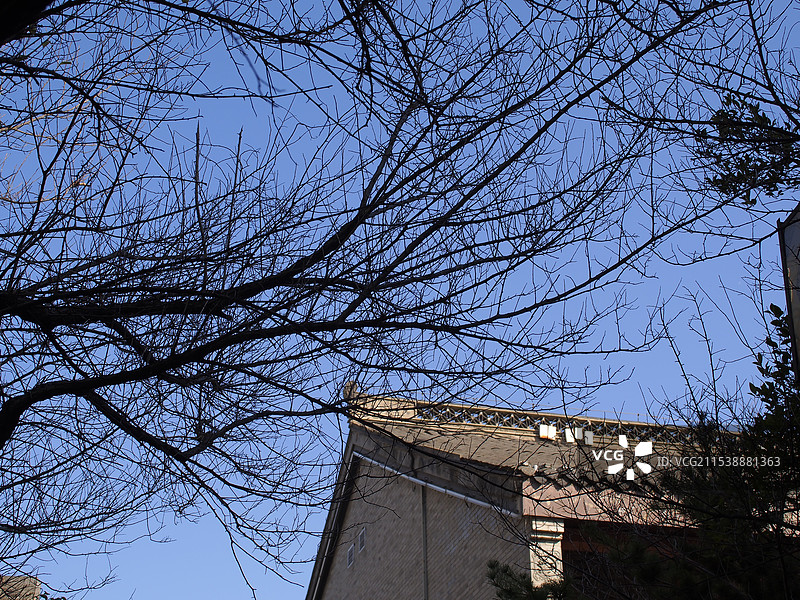 口岸雕花楼景区图片素材