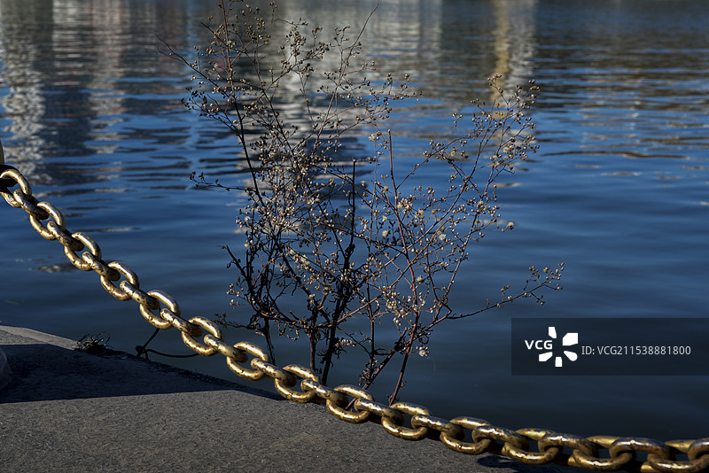 海河两岸图片素材