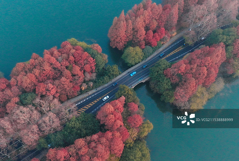 杭州杨公堤秋景图片素材