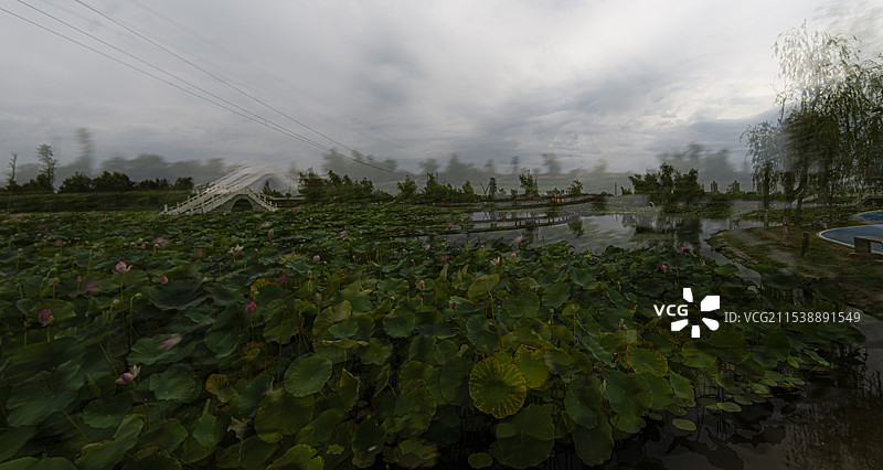 多重曝光荷花池（新疆五家渠市）图片素材