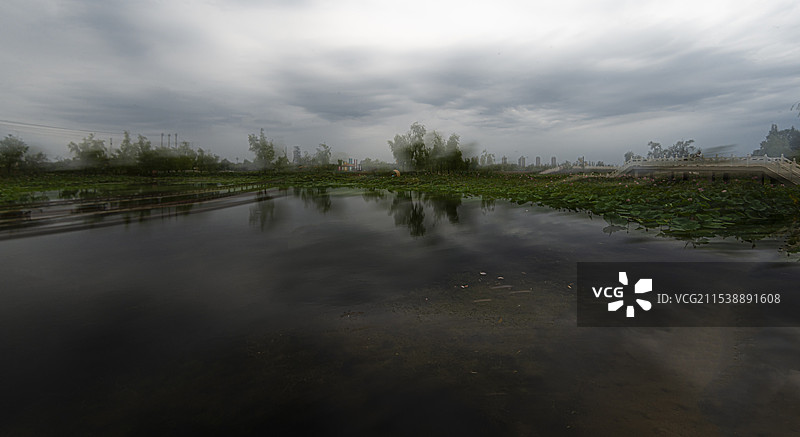 多重曝光荷花池（新疆五家渠市）图片素材