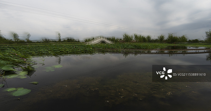 多重曝光荷花池（新疆五家渠市）图片素材