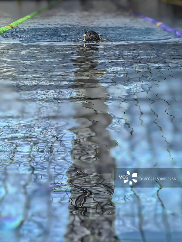 冬日温水游泳馆多角度图片素材