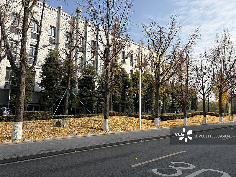 美丽的电子科技大学校园图片素材