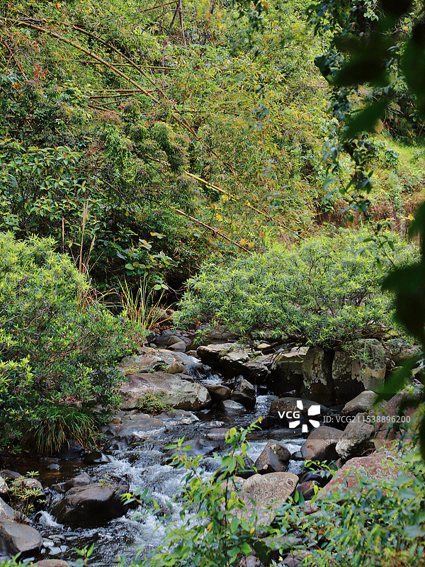 海南五指山图片素材