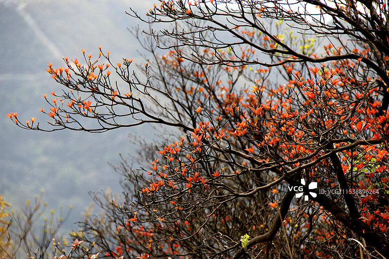 广西南宁市武鸣区大明山春天的景色图片素材