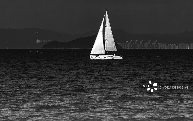 一叶黑白图片素材