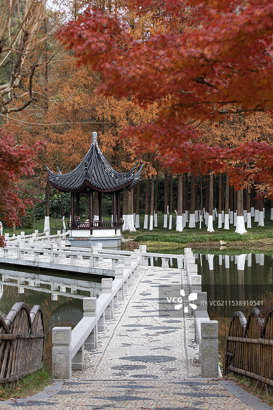 昆山亭林园的秋色图片素材