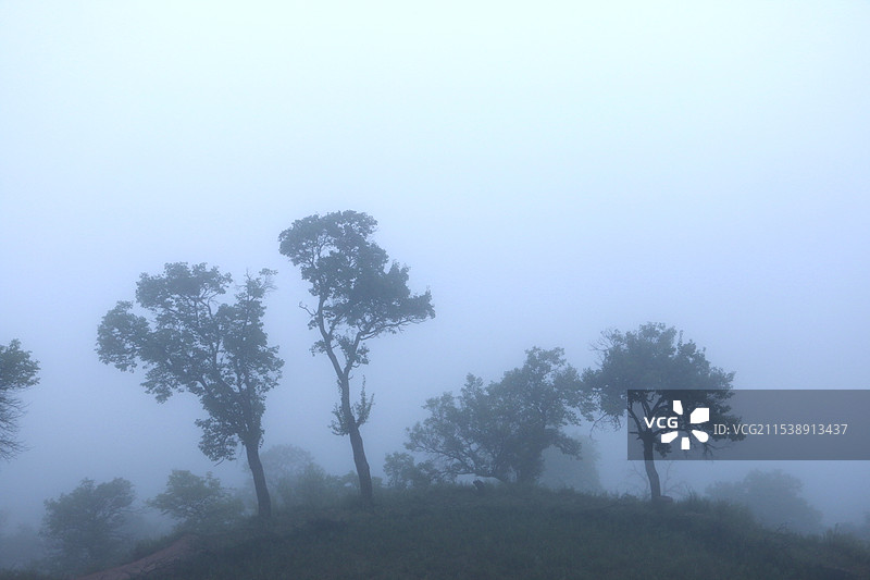 雾景图片素材