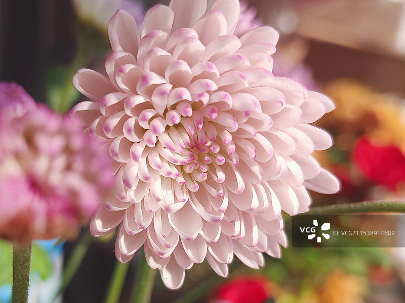 宝莲灯特写镜头图片素材