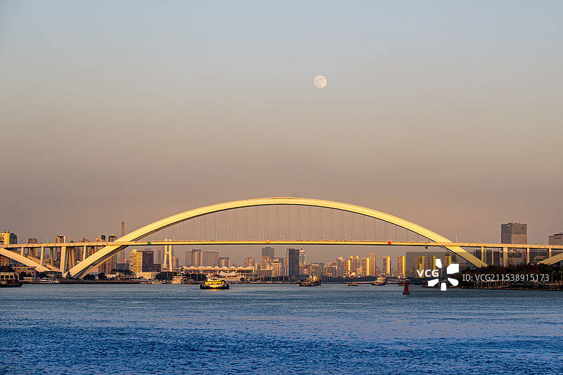 黄昏下的徐汇滨江徐浦大桥图片素材