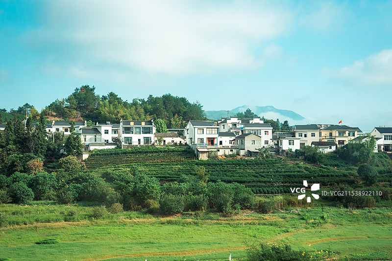 乡村风景田园风光农村白色房子大片稻田图片素材