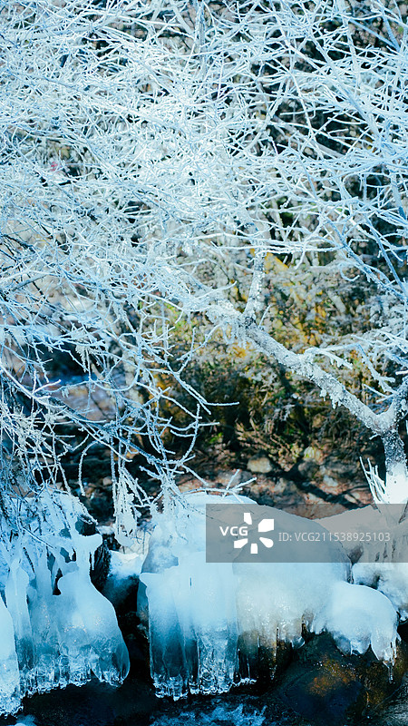 木格措图片素材