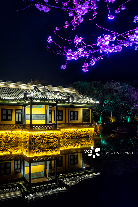 无锡鼋头渚的樱花盛开，夜幕开启华灯初上，夜景中的亭台楼阁赏樱楼和樱花被灯光照亮，充满春天浪漫气息图片素材
