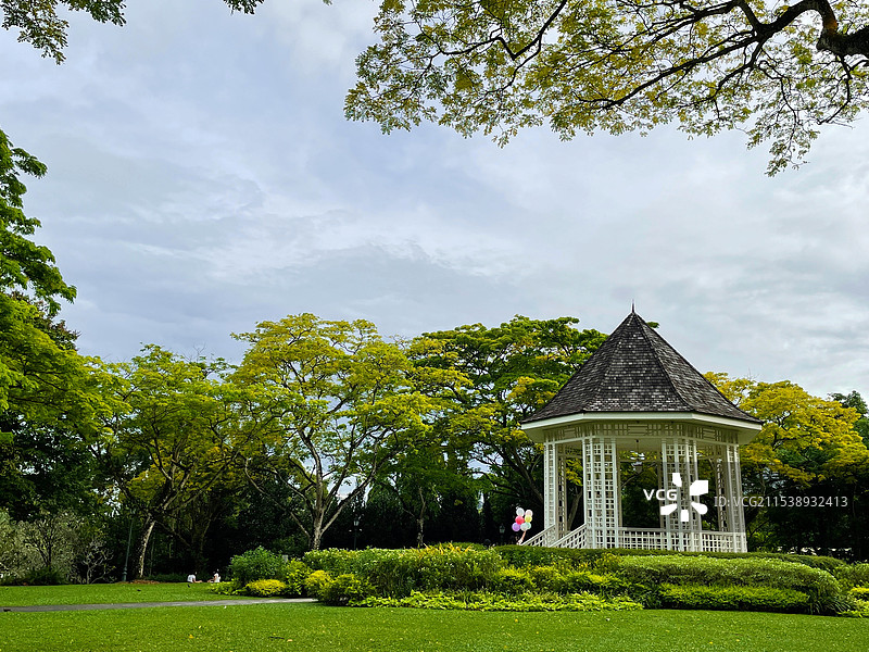 新加坡植物园图片素材