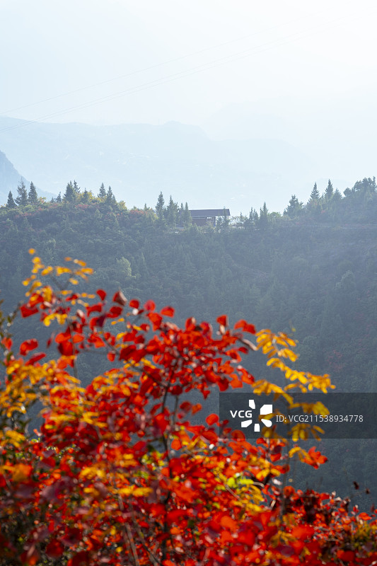 重庆巫山神女景区里红叶图片素材