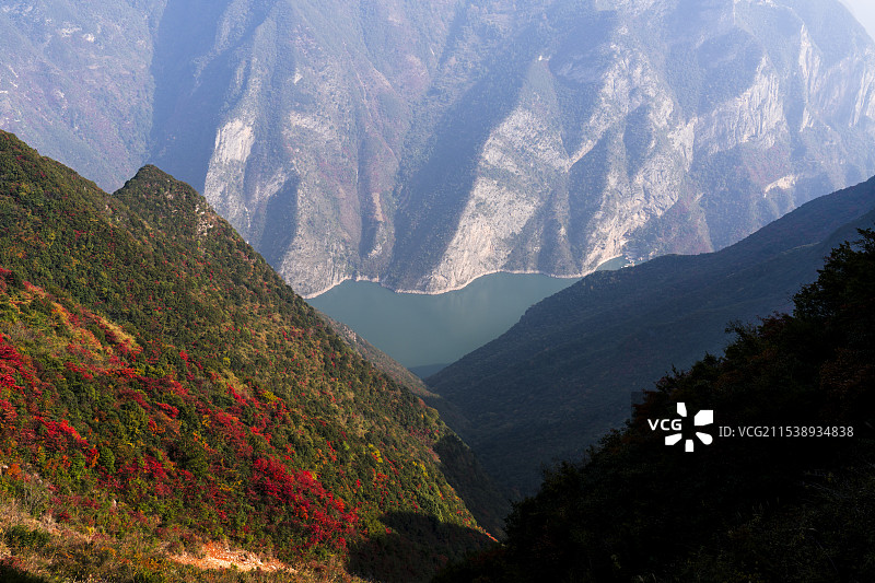 满山红叶的重庆巫山神女景区图片素材