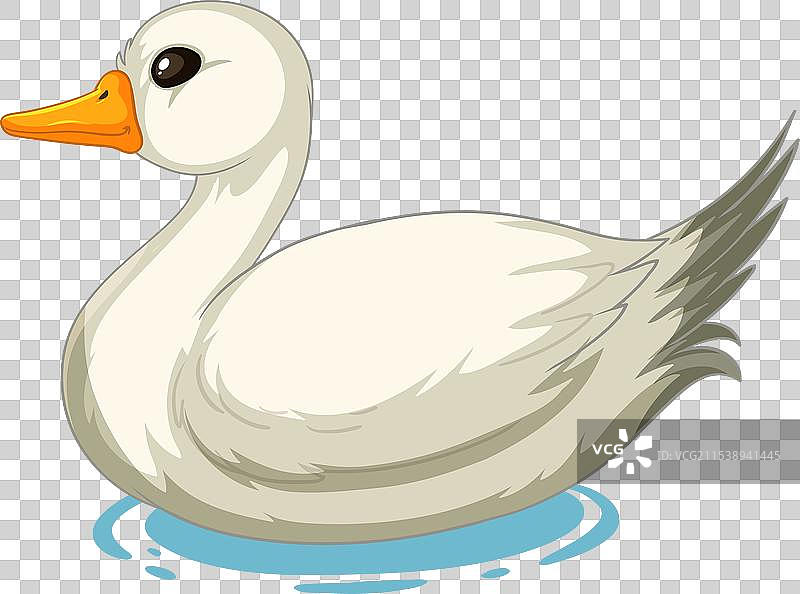 一只鸭子安静地漂浮在水面上图片素材