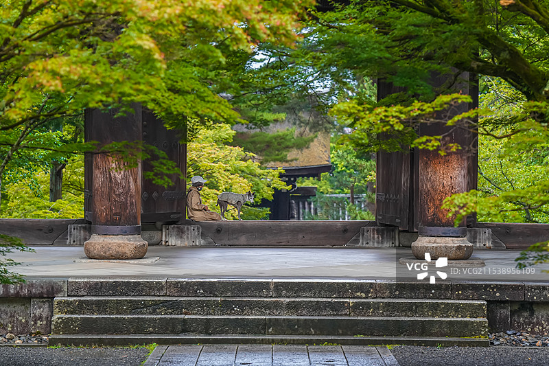 日本京都 南禅寺 夏天 绿色 静谧 禅意图片素材
