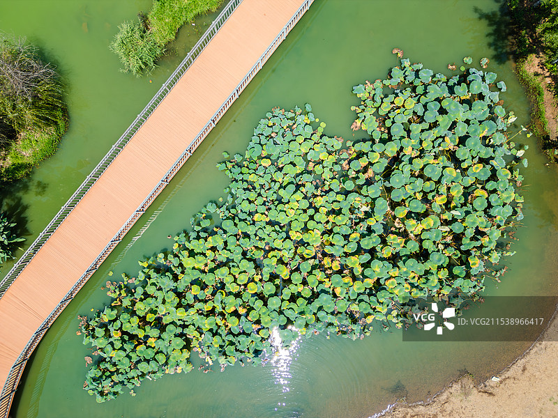 航拍昆明滇池捞鱼河湿地公园景观图片素材