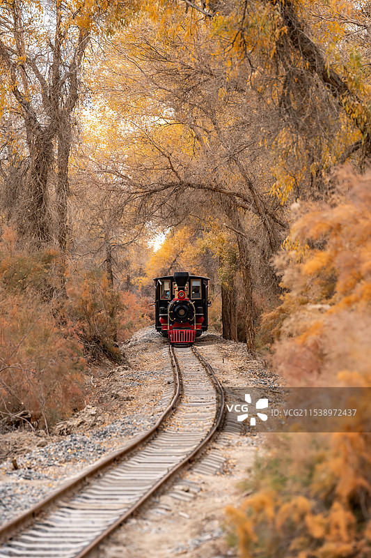 新疆南疆巴州轮台塔里木金秋静谧胡杨林图片素材