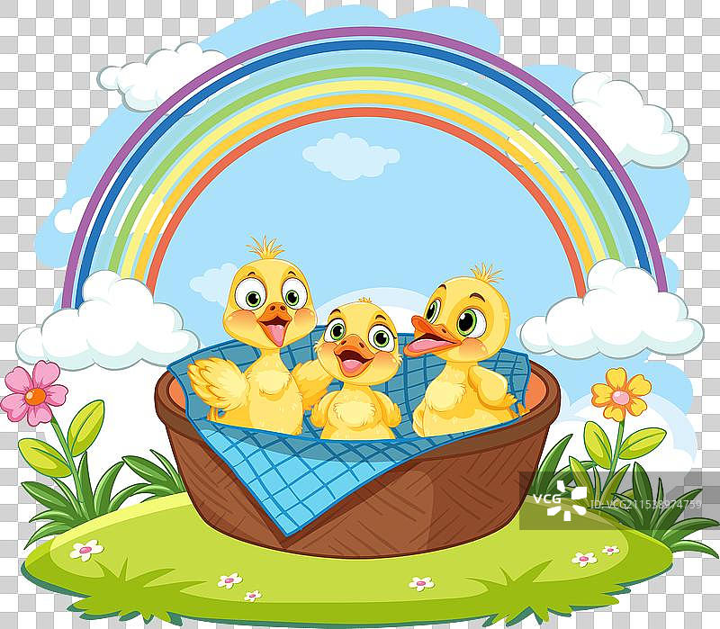 三只可爱的小鸭子在户外享受阳光明媚的一天图片素材