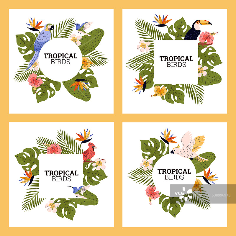 热带植物动物标签天堂设计图片素材