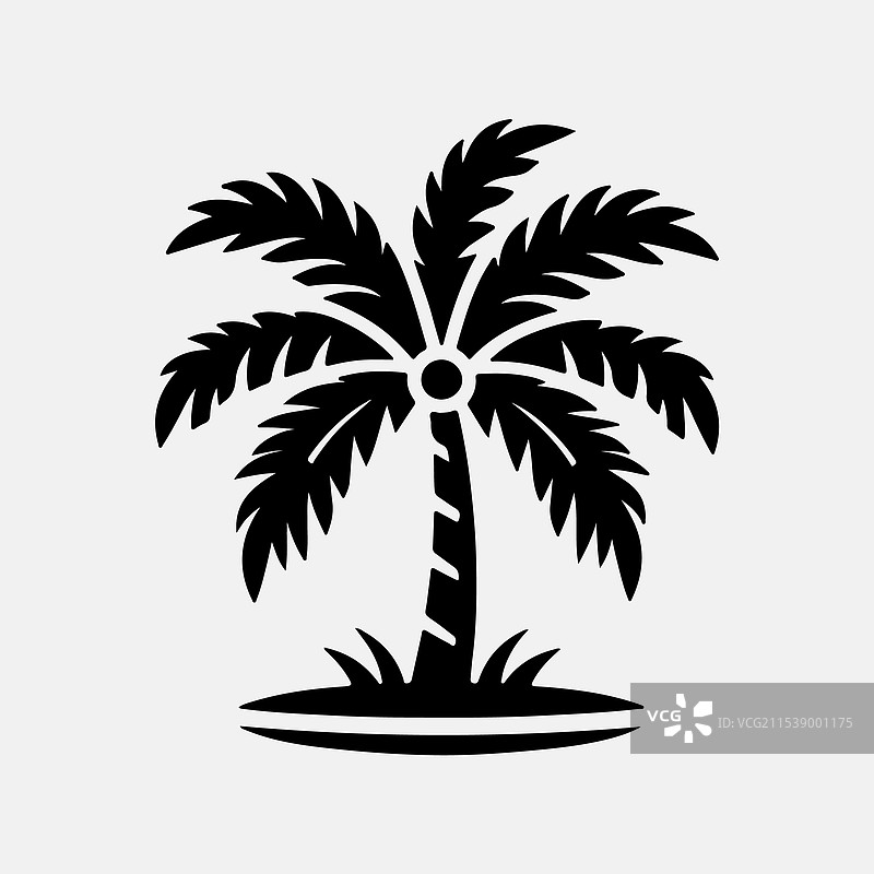 棕榈树的详细轮廓图片素材