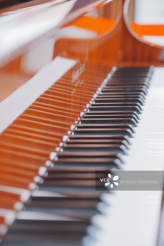 一些静物拍摄图片素材