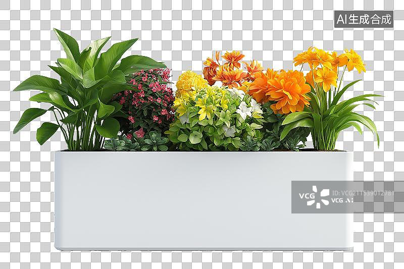 【AI数字艺术】种植着花卉的花箱图片素材