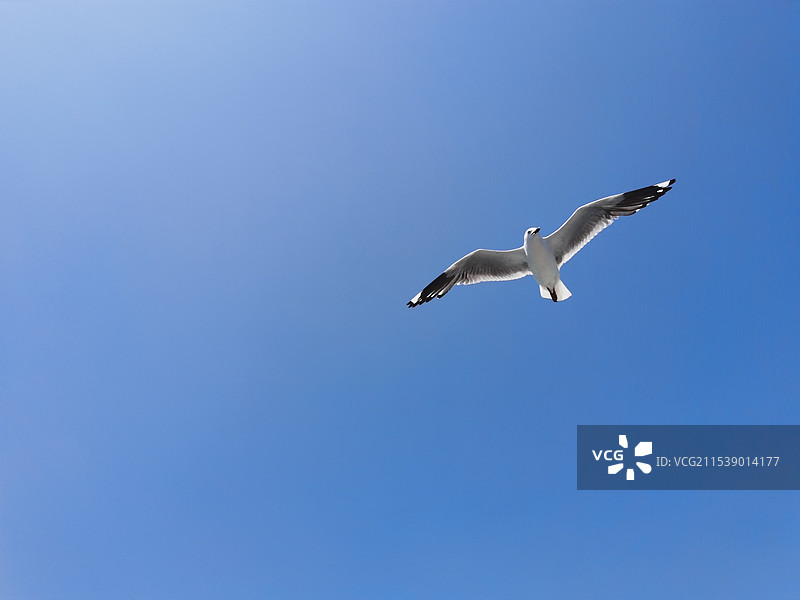 澳大利亚海岸线图片素材