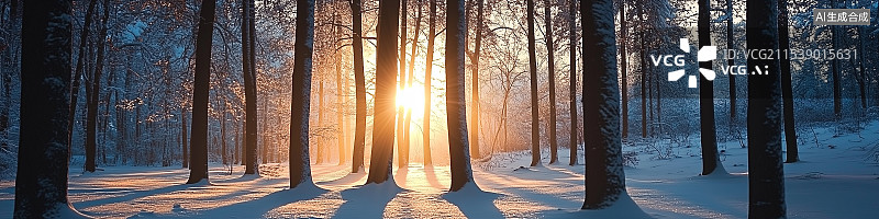 【AI数字艺术】沐浴在柔和晨光中的魔幻雪林，展现霜冻树木、精致纹理和宁静冬季景色。图片素材