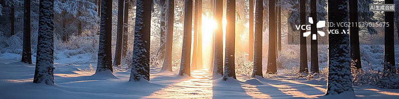 【AI数字艺术】沐浴在柔和晨光中的魔幻雪林，展现霜冻树木、精致纹理和宁静冬季景色。图片素材