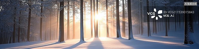 【AI数字艺术】沐浴在柔和晨光中的魔幻雪林，展现霜冻树木、精致纹理和宁静冬季景色。图片素材