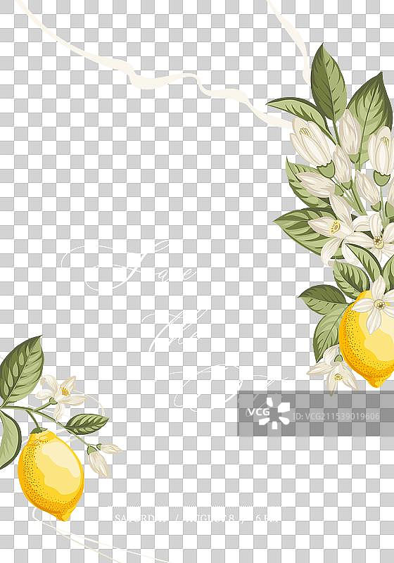 手绘柠檬婚礼邀请函图片素材