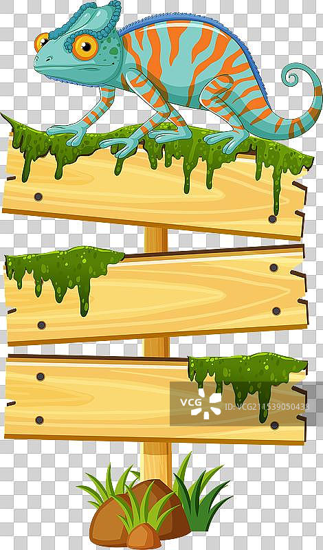 色彩斑斓的变色龙栖息在苔藓覆盖的标志上图片素材