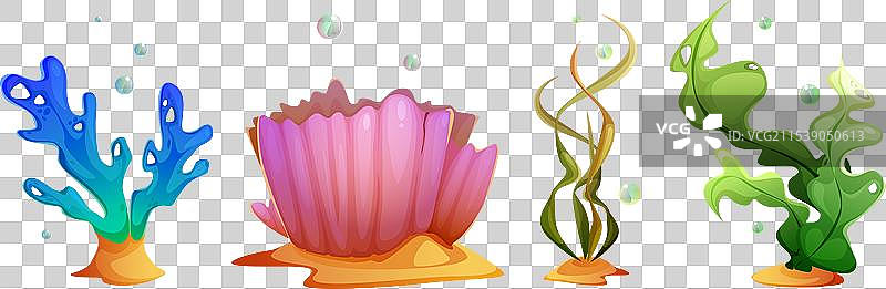 海藻和珊瑚卡通套装图片素材