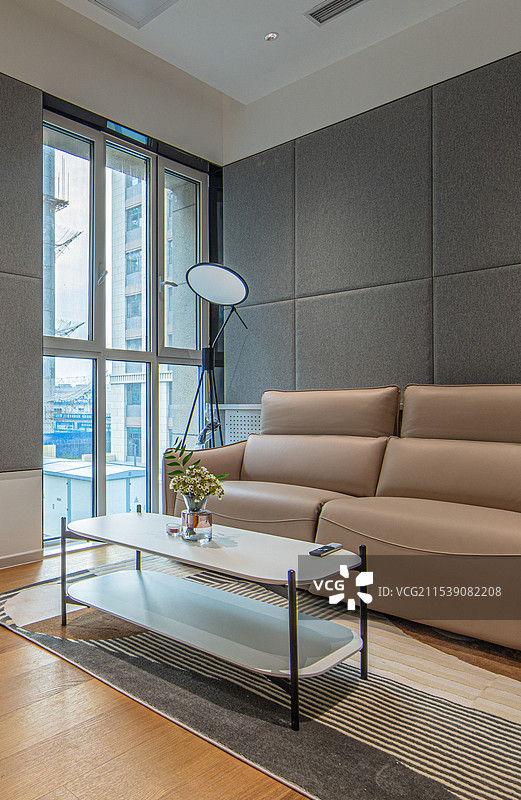 青年公寓中的客厅展示一居室图片素材