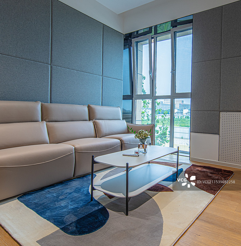 青年公寓中的客厅展示一居室图片素材