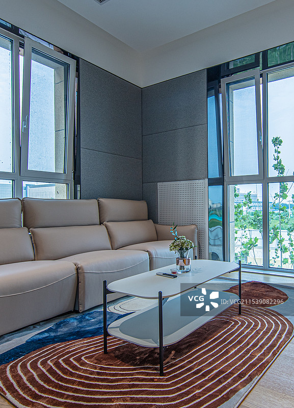 青年公寓中的客厅展示一居室图片素材