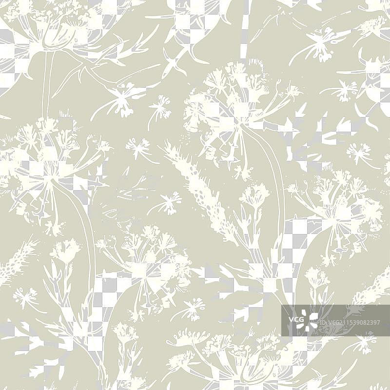 手绘医学草药图案图片素材