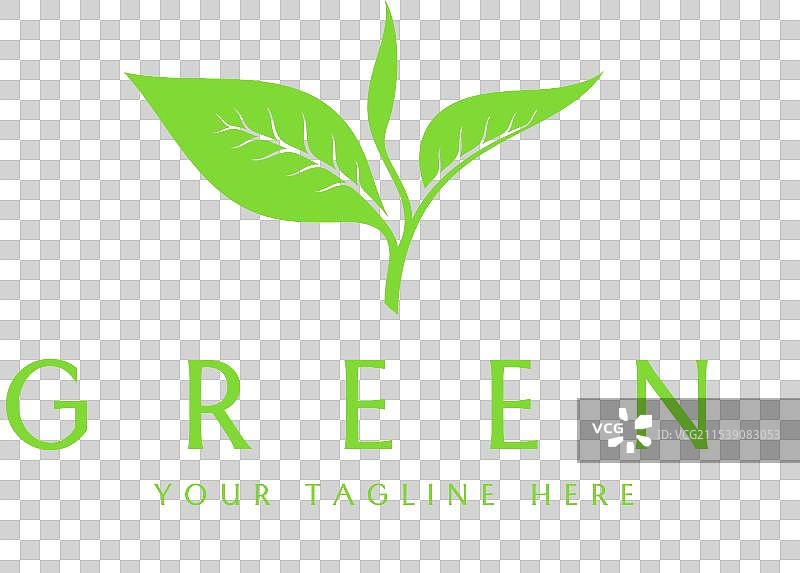 绿茶标志模板图片素材